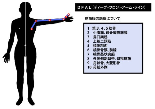 東御市,上田市,小諸市,整体,指圧,ほぐしや,マッサージ,アナトミー・トレイン